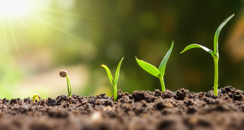Green Additives Technology Scouting for Fertilizer Portfolio Expansion