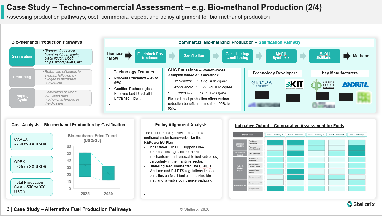 Techno-commercial Assessment – e.g. Bio-methanol Production