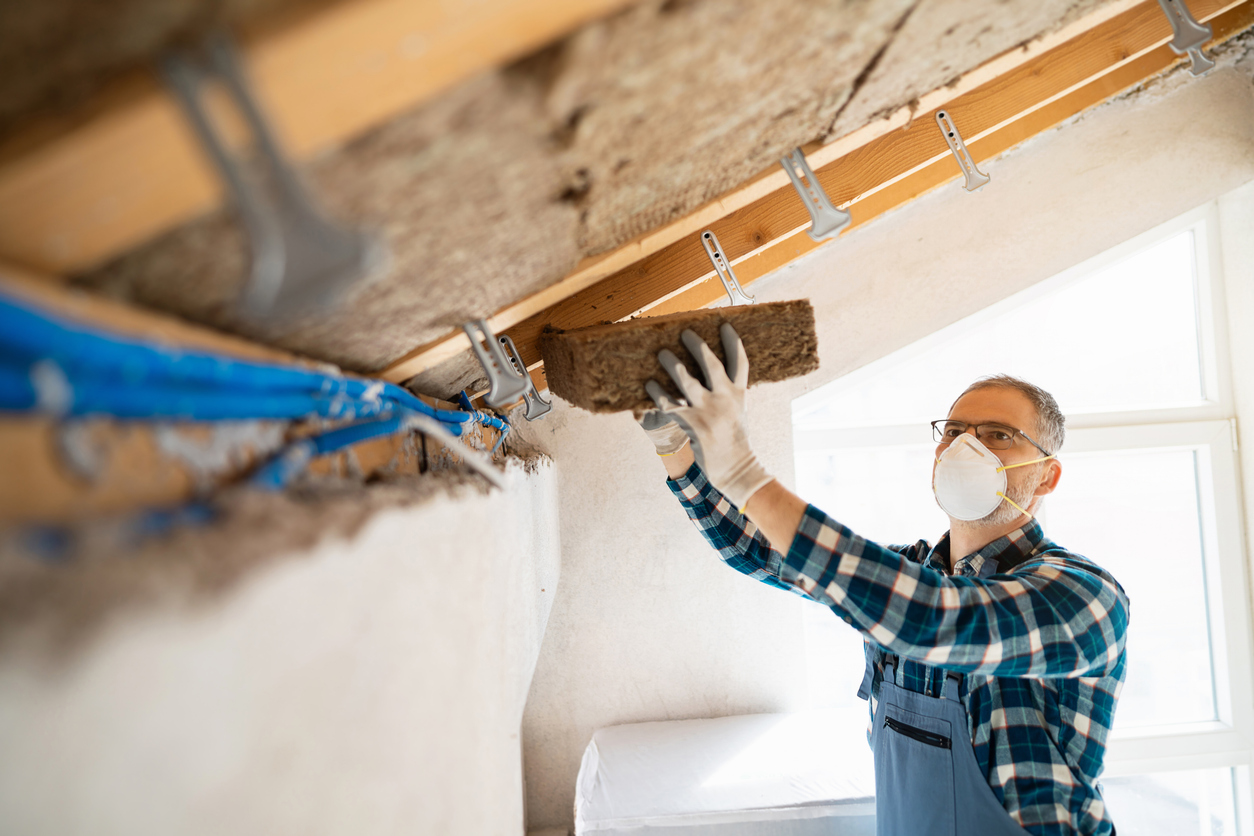 Vegetal-Fiber Identification for Low-Carbon, High-Performance Insulation in Construction