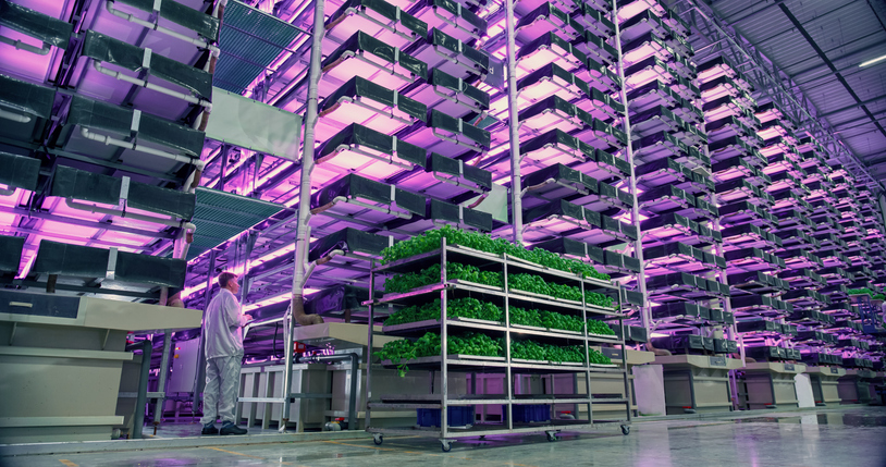 Vertical Farming Market Analysis to Enable Expansion and Penetration