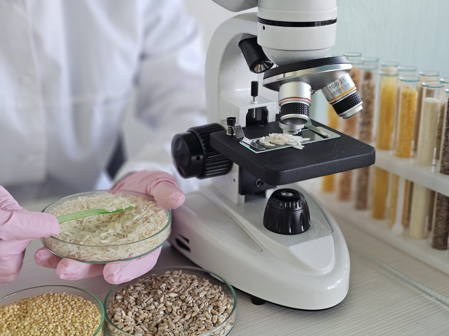 Comprehensive Ingredient Scouting of Heat-Stable Sweet Proteins for Next-Gen Beverage Applications