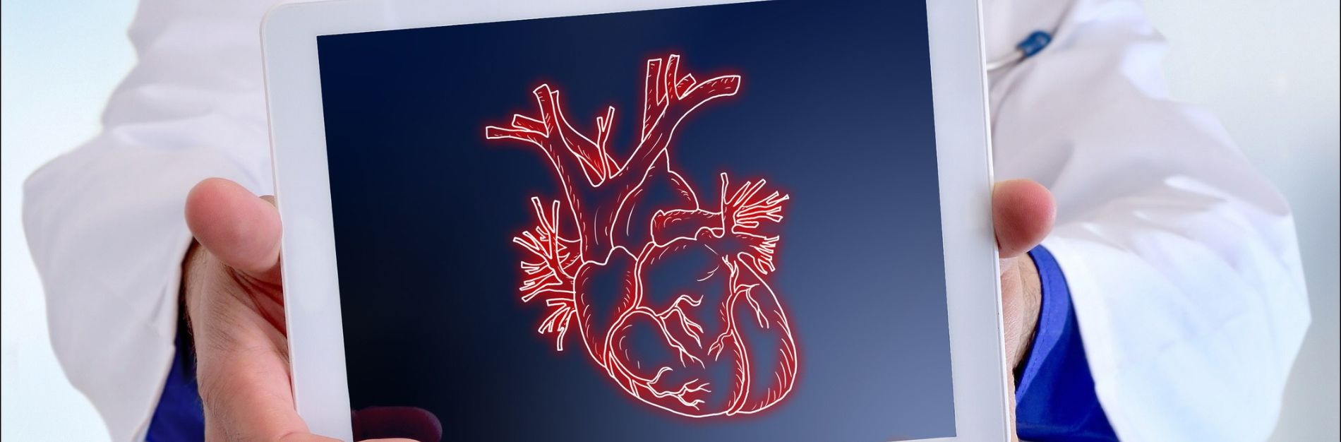 Technology Partner Identification for Implantable Device Interoperability