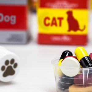 Antibiotic-alternatives