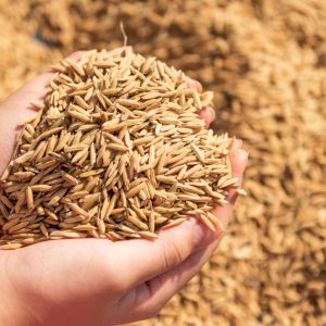 Bio-based-feedstocks