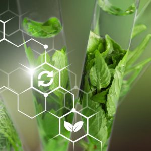 Biodegradable-Controlled-Release-Fragrances