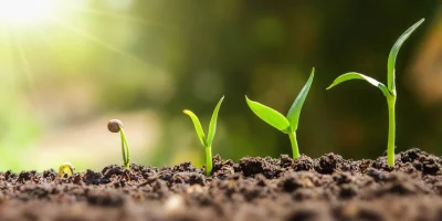 Green-Additives-Technology-Scouting-for-Fertilizer-Portfolio-Expansion