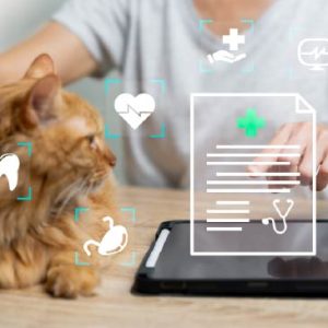 Livestock disease tracking tech