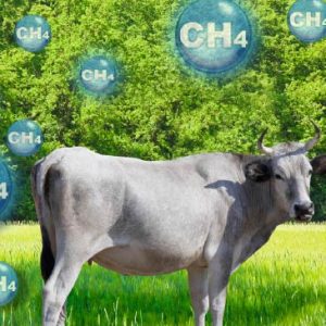 Methane reduction-