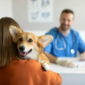 Pet humanization spending boom-