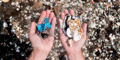 Man holds in one hand the waste collected on the seashore, in the other hand shells. Environmental pollution concept.