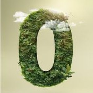 net zero